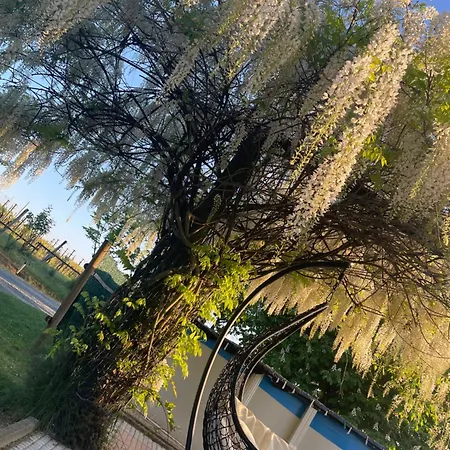 בית נופש Cascina Valgrande, Monferrato *