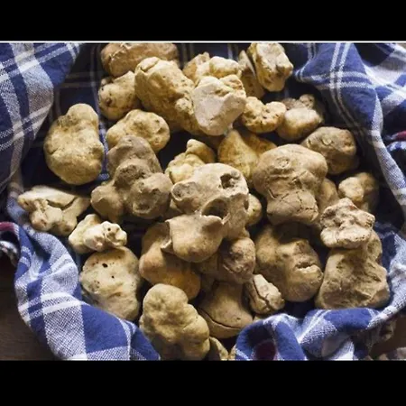 Cascina Valgrande, Monferrato *