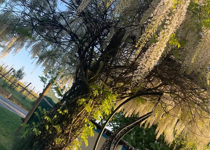 Prázdninový dům Cascina Valgrande, Monferrato *