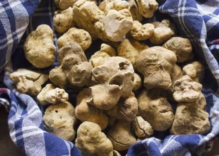 Cascina Valgrande, Monferrato *